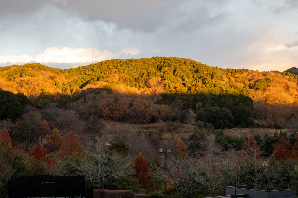 キャンプ場から眺める自然の風景