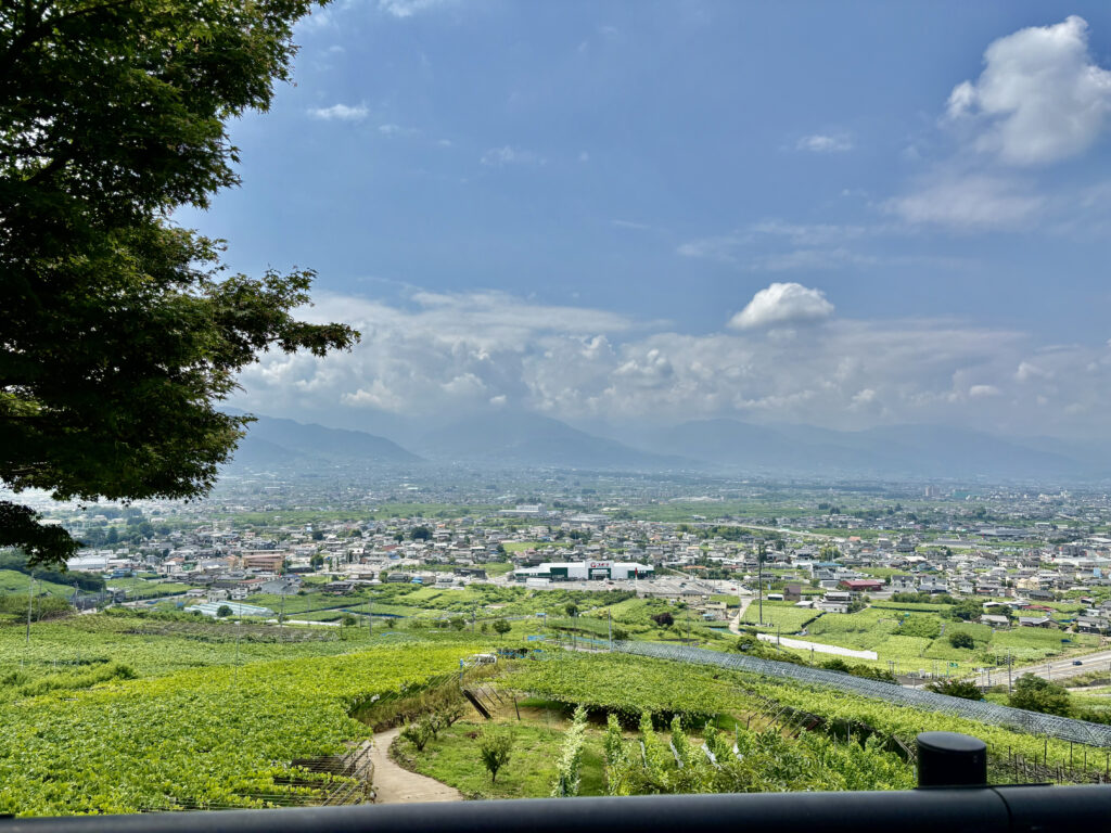 甲州市を見下ろす絶景