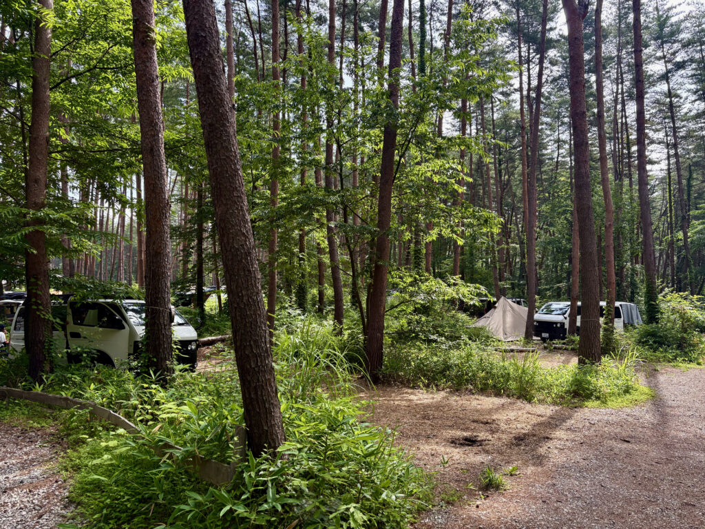 朝のキャンプ場