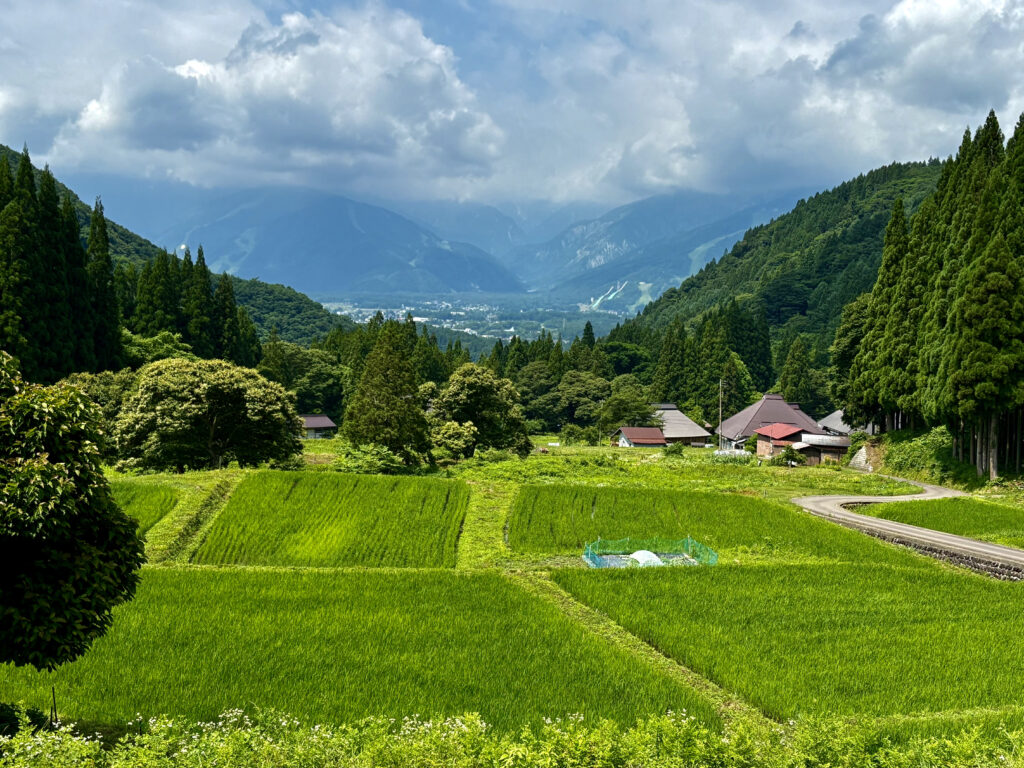 青鬼集落の美しい棚田