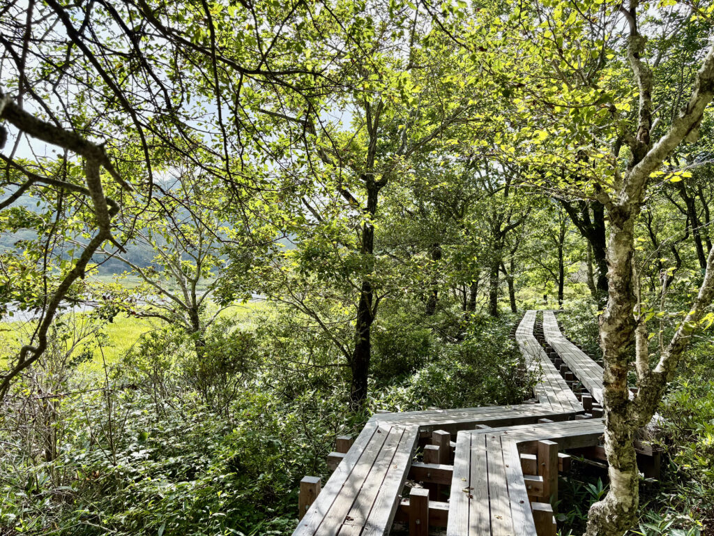 赤城山　覚満淵の木道