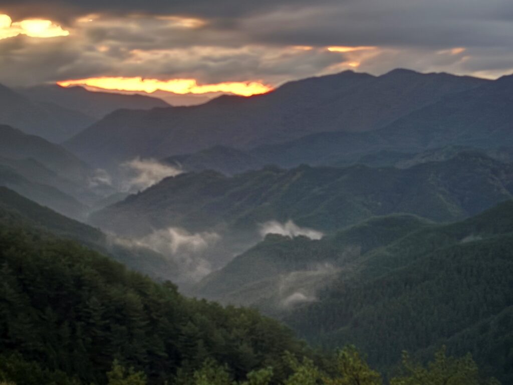 和歌山 雲海