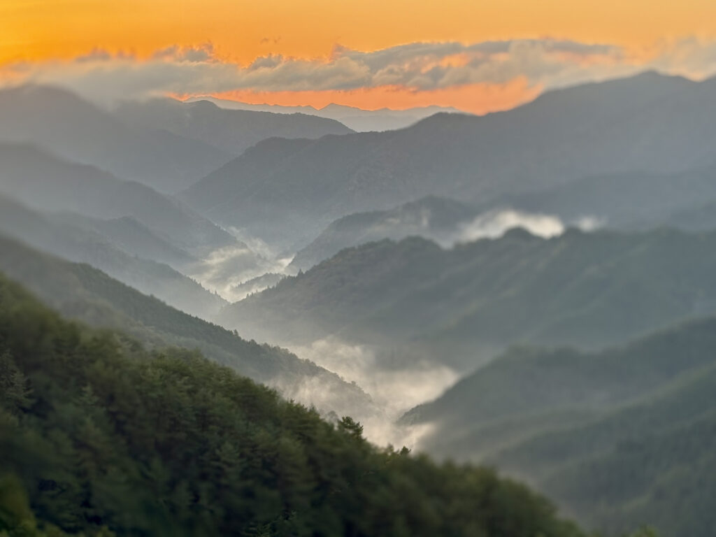 和歌山 夜明け 雲海