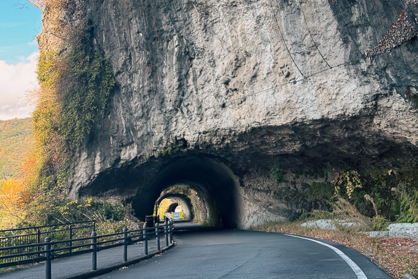 バンライフレンタカーでめぐる、紅葉のこる冬の耶馬溪