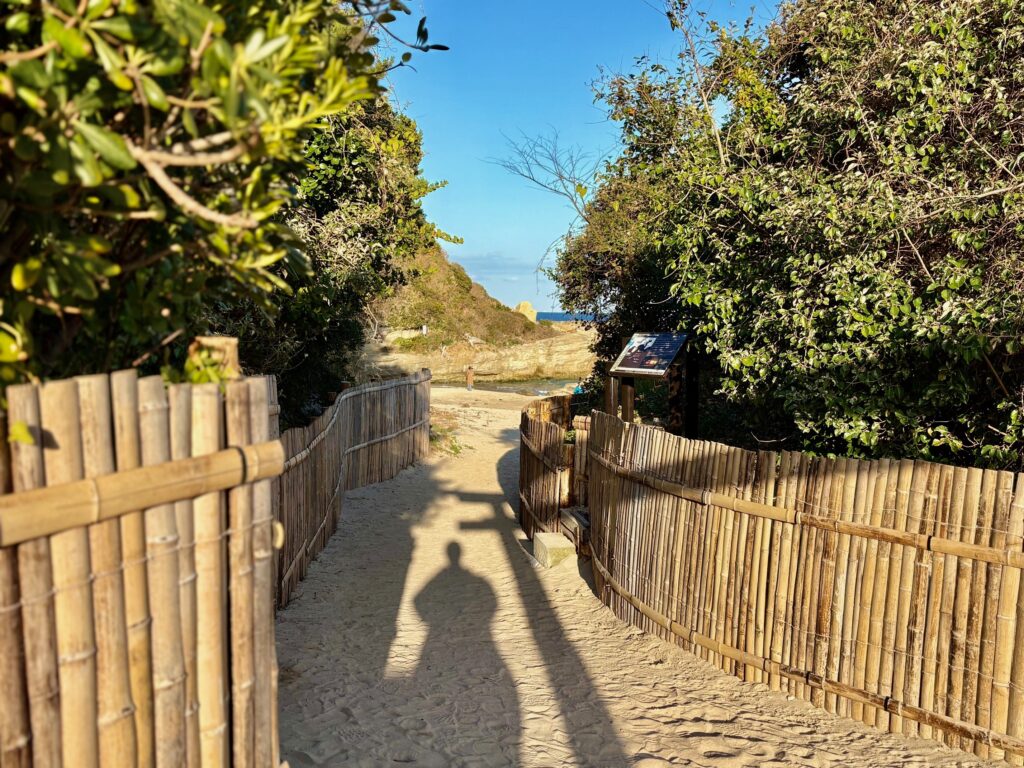白浜神社 海辺との鳥居に続く小道