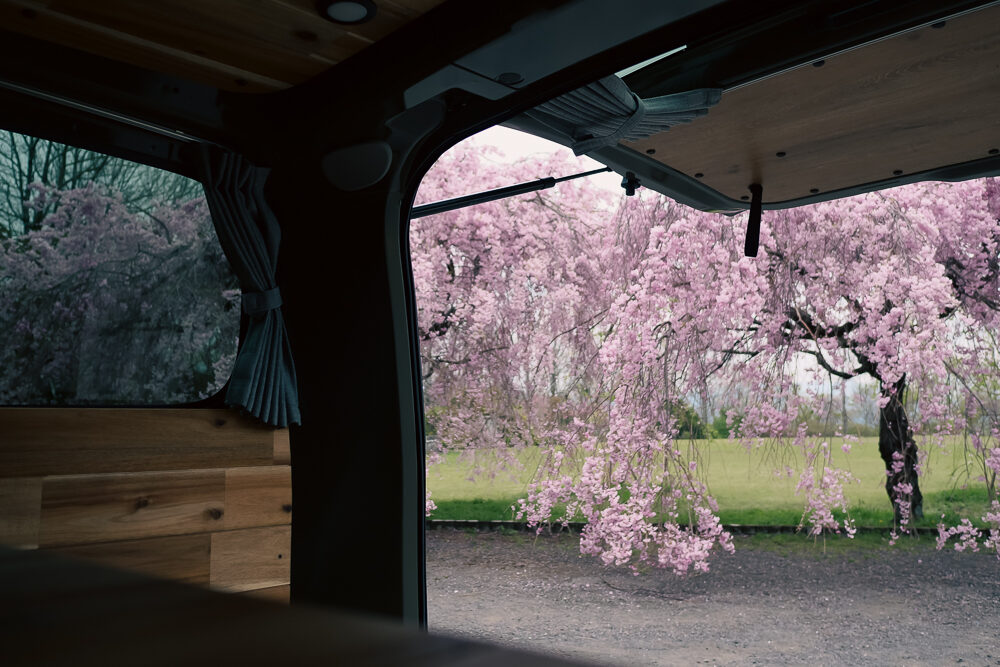 車中泊できるレンタカーでめぐる、春の気配が残る野津原