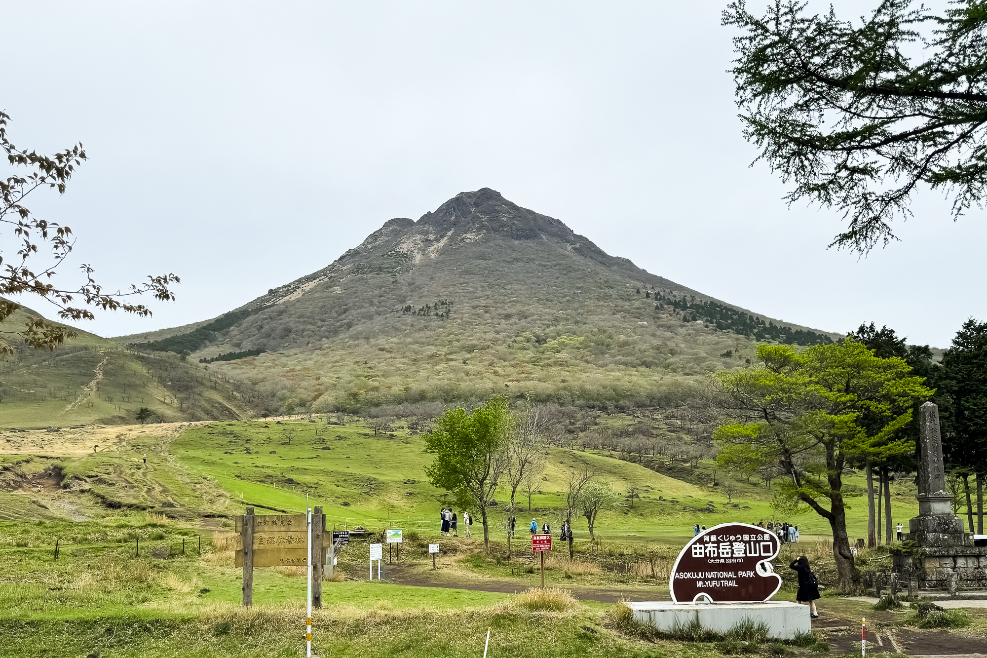 車中泊できるレンタカーでめぐる、山の前後を楽しむ由布岳旅