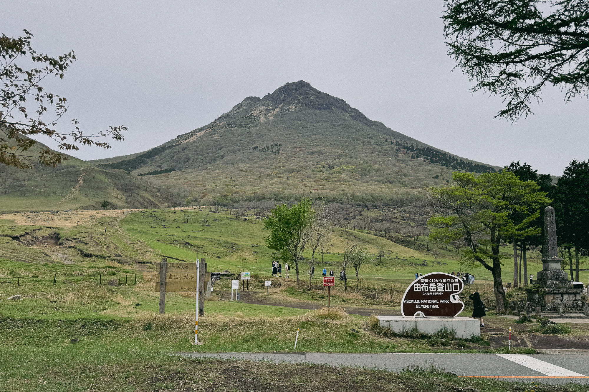 車中泊できるレンタカーでめぐる、山の前後を楽しむ由布岳旅