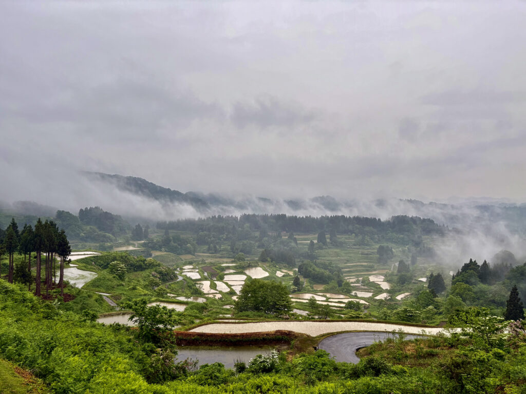 星峠の棚田