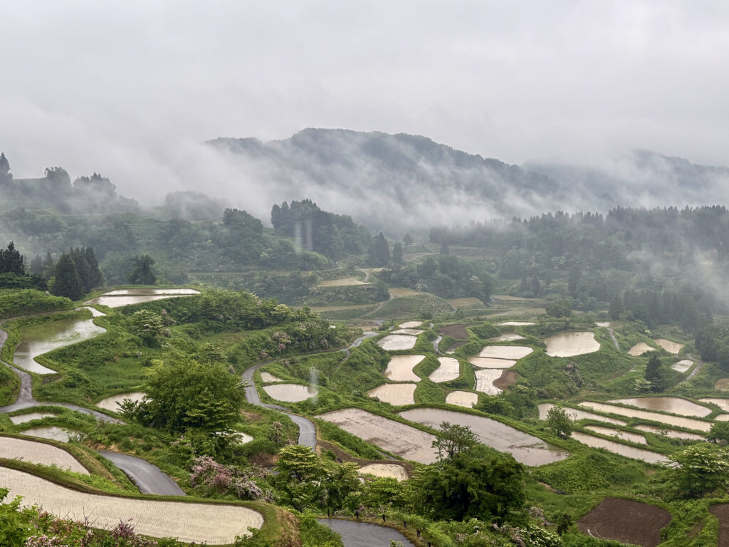 星峠の棚田