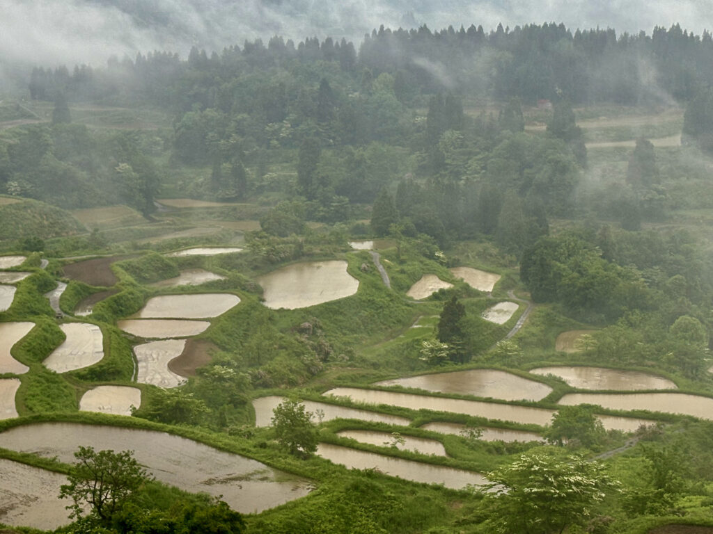 星峠の棚田