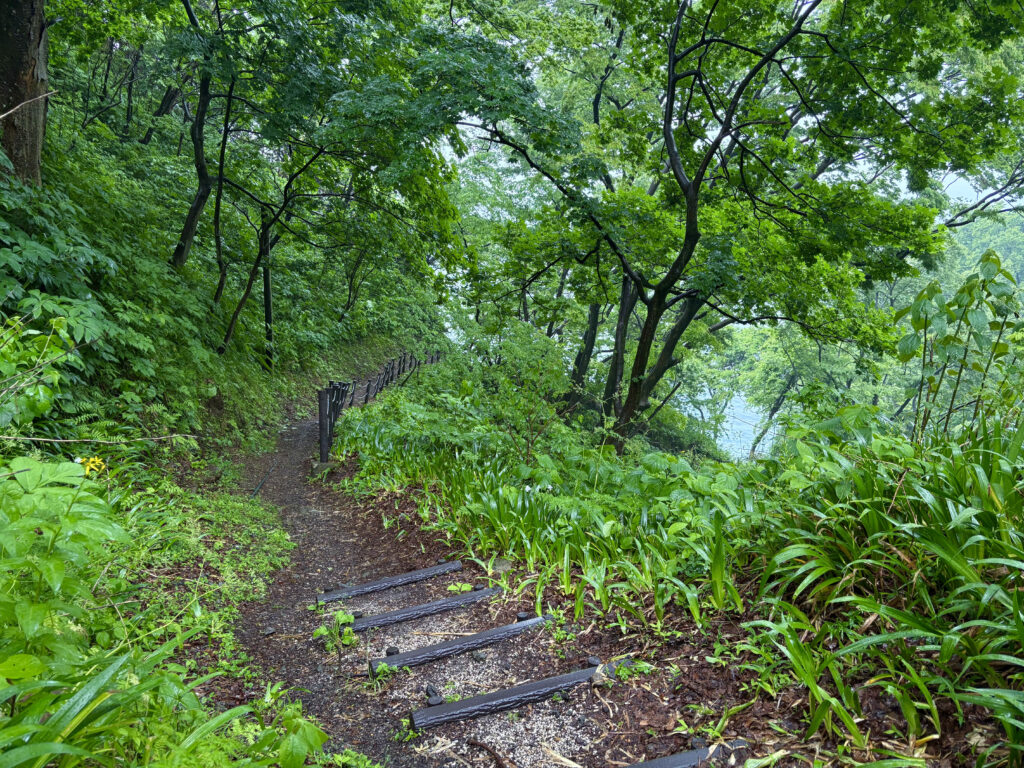 親不知子不知　海岸へ下る小道