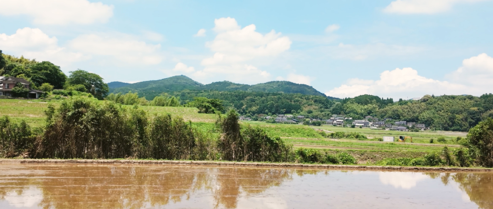 山香の田園風景