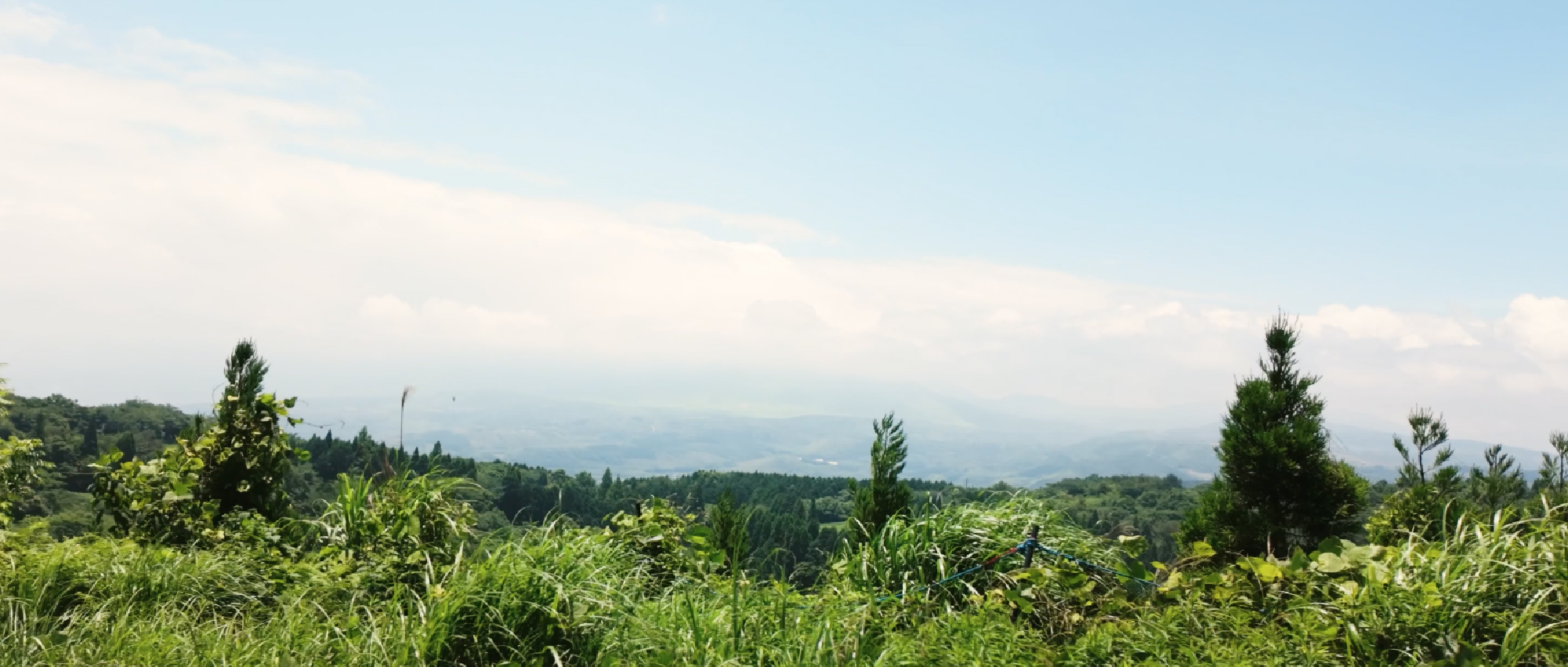 山道から見える景色